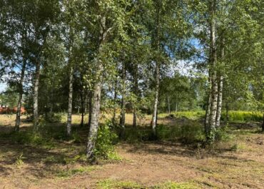 Участок, 18 сот, 59&nbsp;400&nbsp;000 руб.